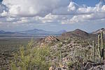 photo thumbnail #5