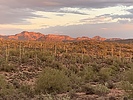photo thumbnail #6