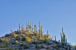 photo thumbnail #4
