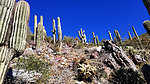 photo thumbnail #8