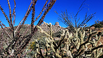 photo thumbnail #9