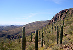 photo thumbnail #4