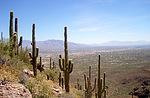 photo thumbnail #13