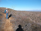 photo thumbnail #4