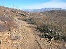 photo thumbnail #11