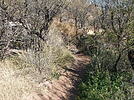 photo thumbnail #14