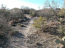photo thumbnail #6