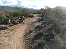 photo thumbnail #9