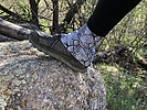 photo thumbnail #7