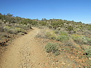photo thumbnail #7