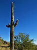 photo thumbnail #11