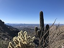 photo thumbnail #11
