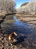 photo thumbnail #1