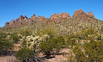 photo thumbnail #7