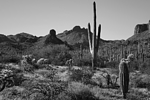 photo thumbnail #12