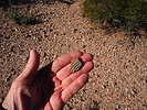 photo thumbnail #13