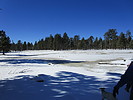 photo thumbnail #3