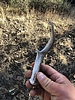photo thumbnail #3