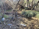 photo thumbnail #1