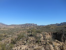 photo thumbnail #7