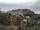 photo thumbnail #3