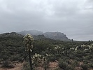 photo thumbnail #7