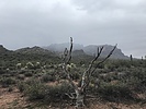 recent photo