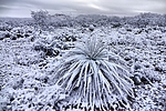 photo thumbnail #12