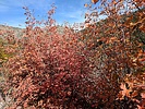 photo thumbnail #11