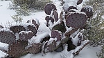 photo thumbnail #5