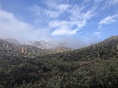 photo thumbnail #3