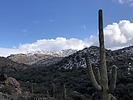 photo thumbnail #9