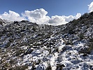 photo thumbnail #11