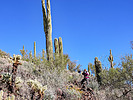 photo thumbnail #3