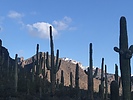 photo thumbnail #2