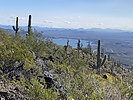 photo thumbnail #5
