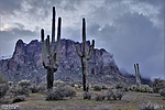 photo thumbnail #6