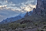 photo thumbnail #9
