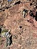 photo thumbnail #7