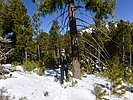 photo thumbnail #3