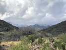 photo thumbnail #4