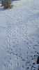 photo thumbnail #15
