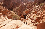 photo thumbnail #3