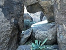 photo thumbnail #7