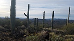 photo thumbnail #6
