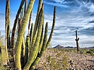 photo thumbnail #6