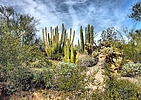 photo thumbnail #7