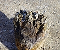 photo thumbnail #12