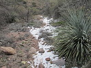 photo thumbnail #2