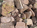photo thumbnail #13